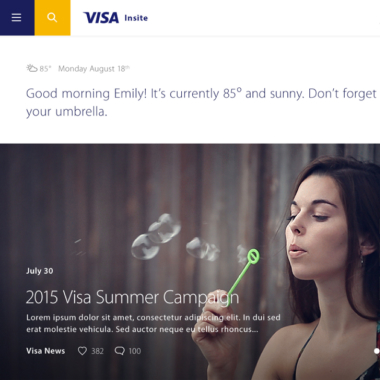Visa Intranet Site